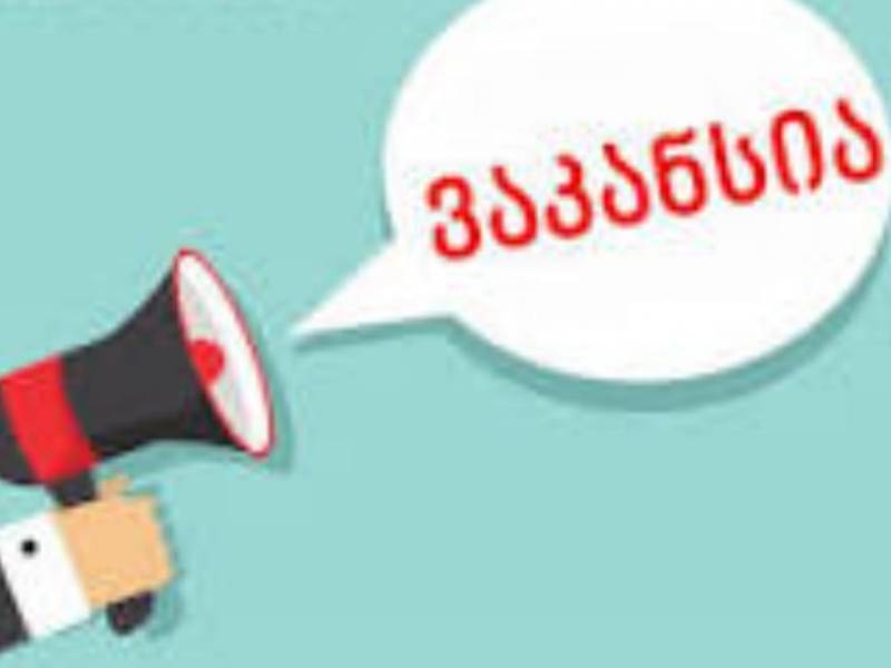 ცაგერის მუნიციპალიტეტის  სკოლამდელი და სკოლისგარეშე სააღმზრდელო დაწესებულებების...